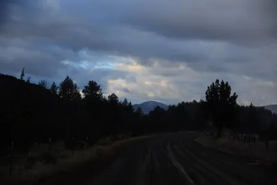 DSC_2950 (Large).JPG